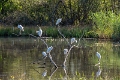 teich0923 (1)